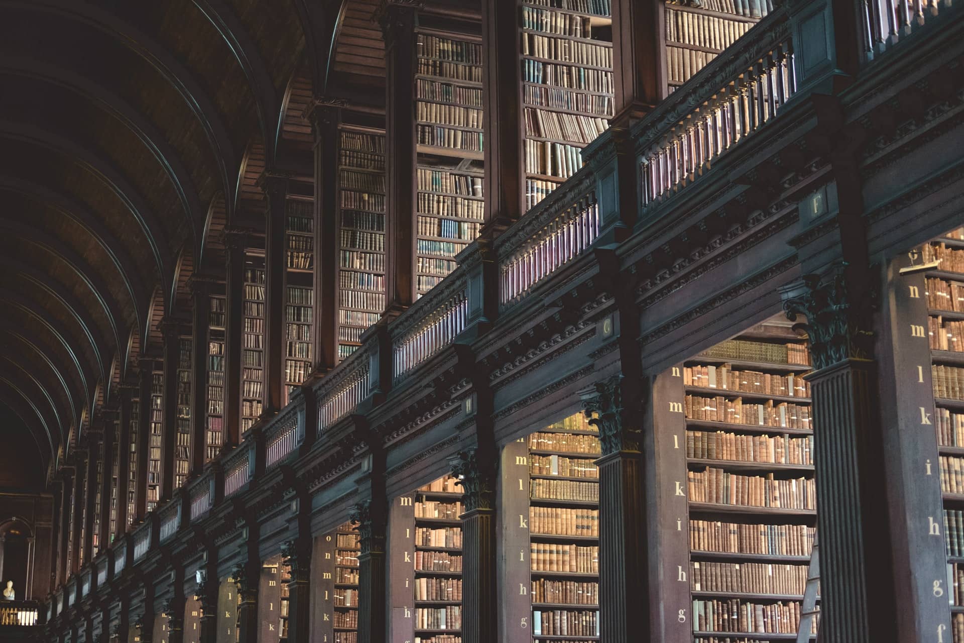 Library bookshelves